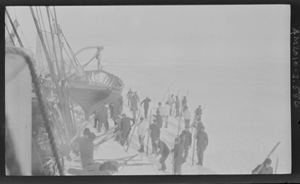Image: Many sealers by vessel. Boat in davit